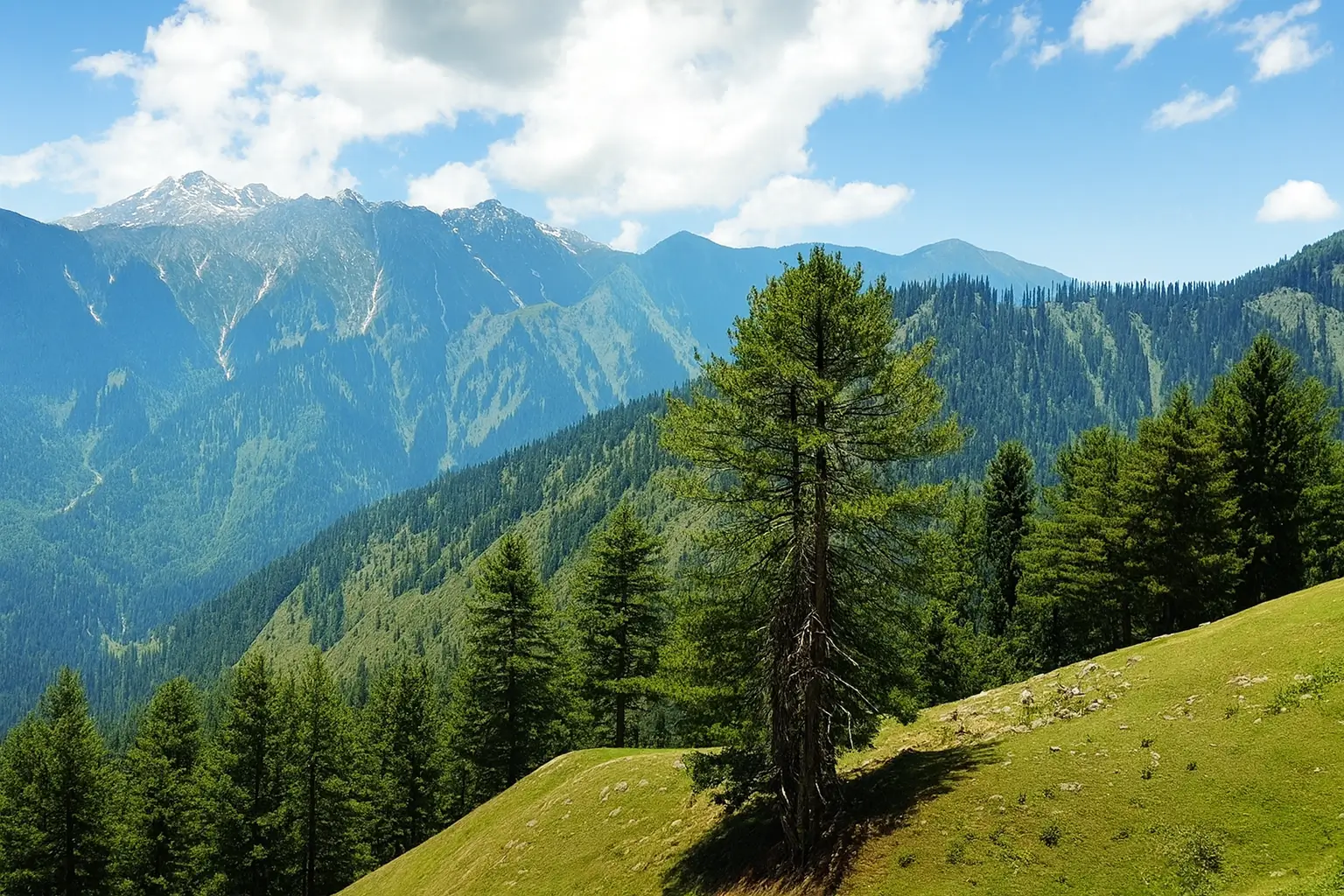 Chatroo (Chhatroo) in Kishtwar image