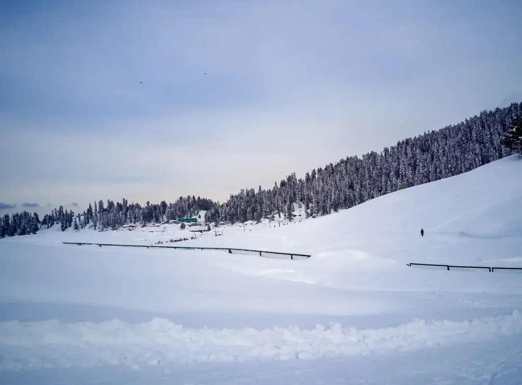 beautyful view of snow fall