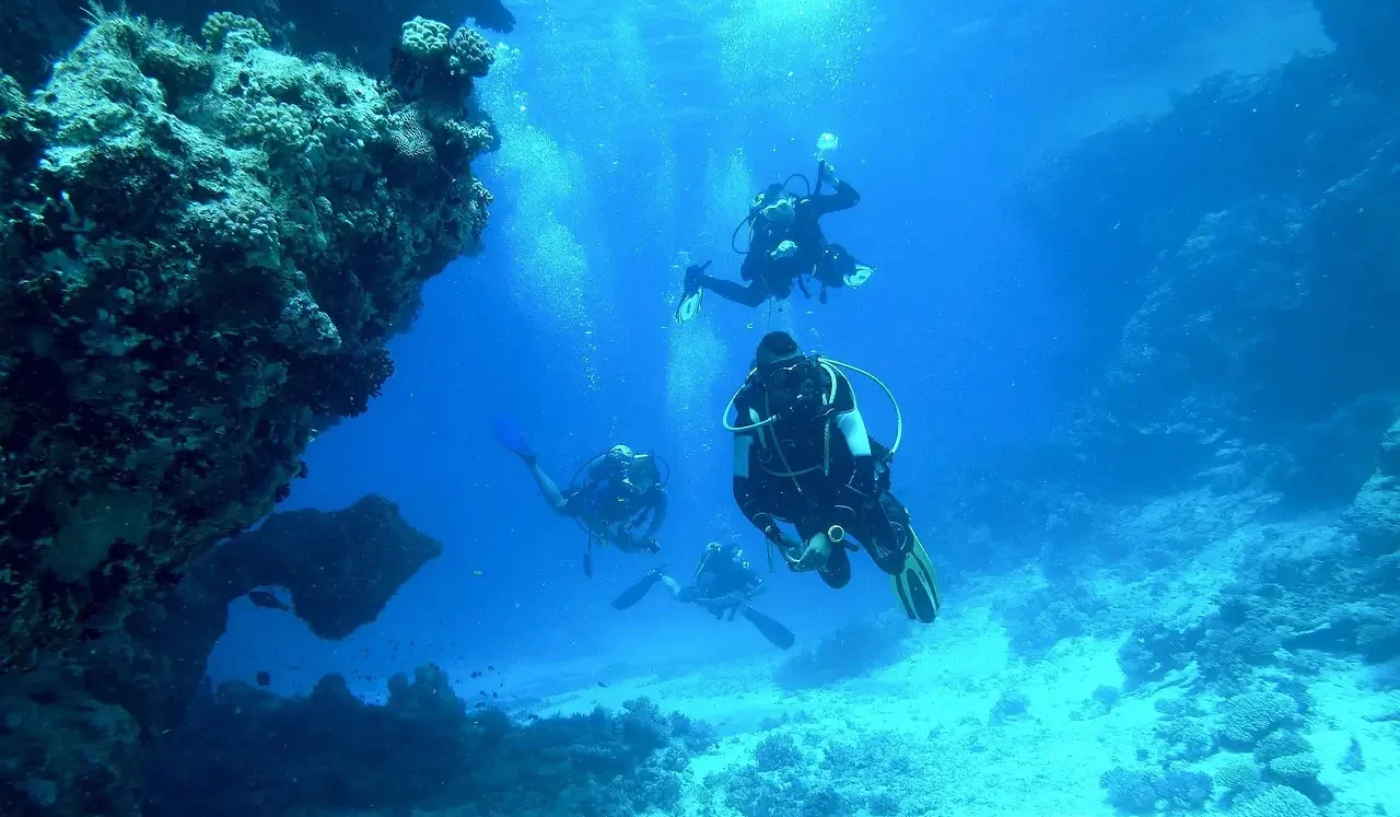 Scuba Diving