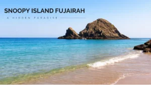 Exploring Snoopy Island Fujairah : Snorkeling, Diving 2026