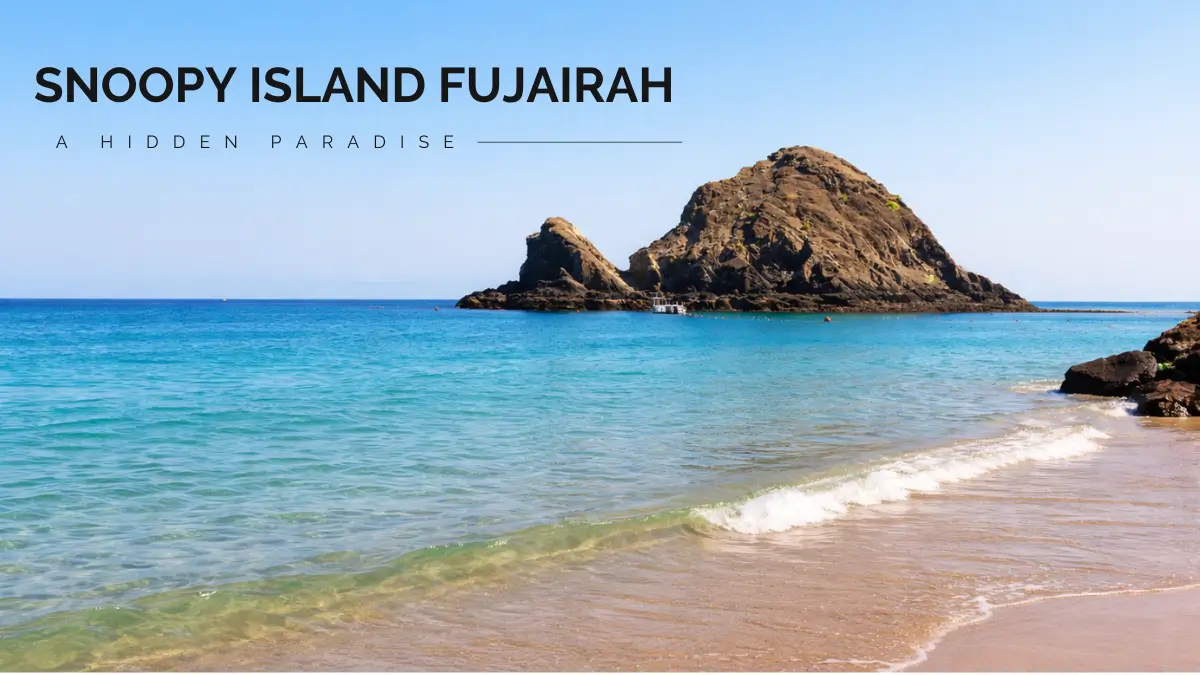 Exploring Snoopy Island Fujairah : Snorkeling, Diving 2026