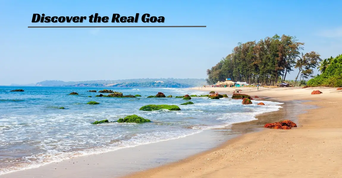 One among the best places to visit in Goa with family